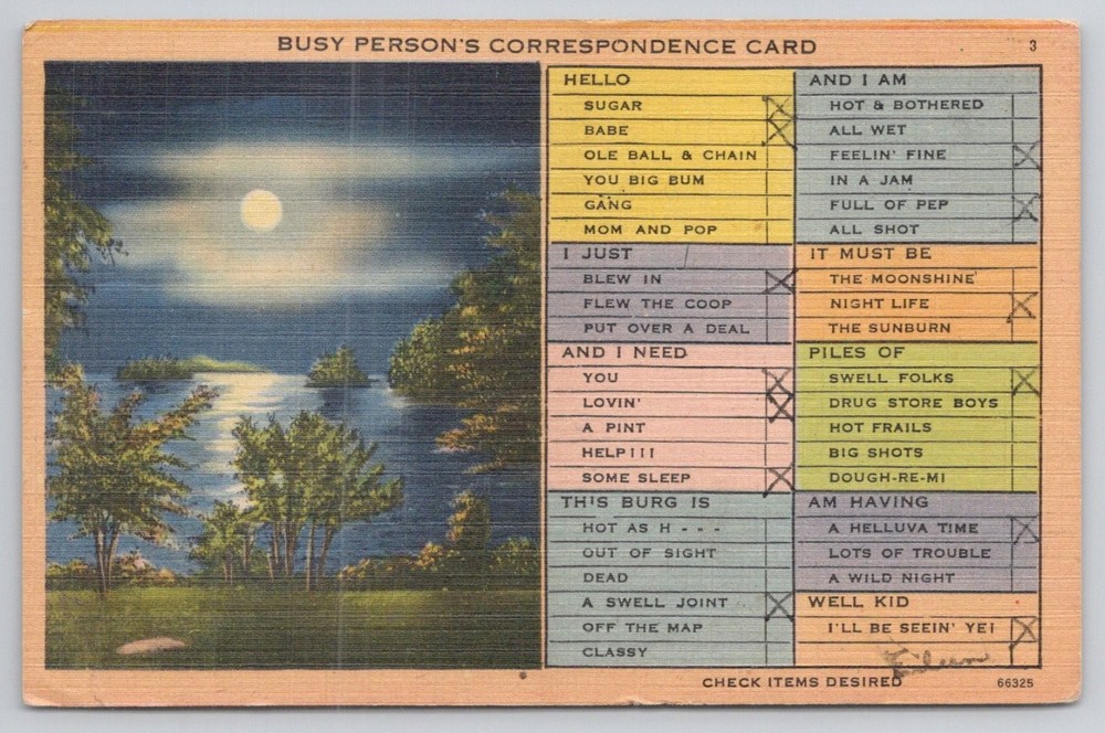 1946 Harrison Michigan Moonlit Lake Busy Person's Correspondence Postcard