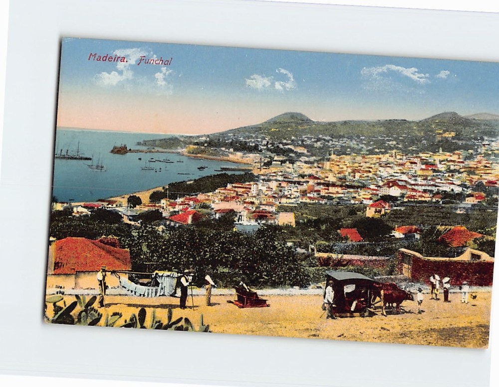 Postcard Aerial View Funchal Madeira Portugal