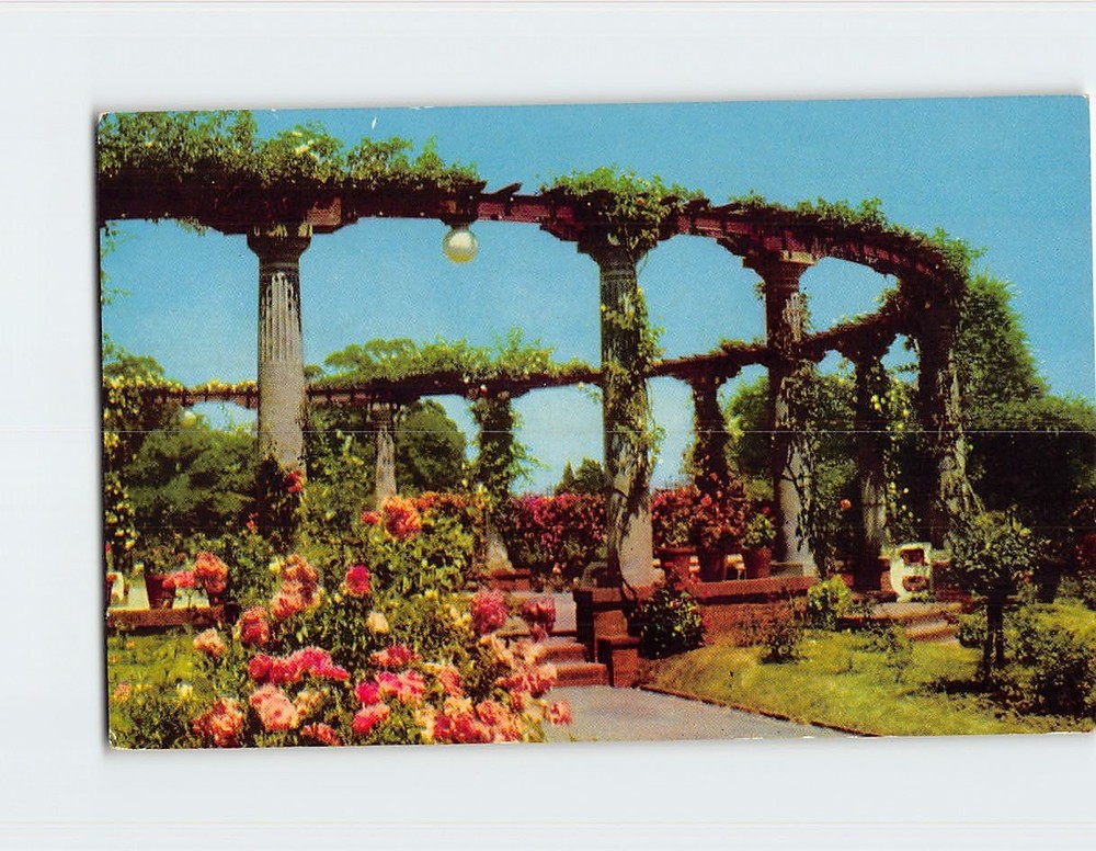 Postcard Rosaleda de los Jardines del Prado  Montevideo Uruguay