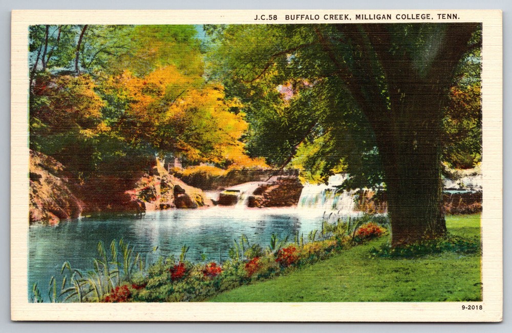 Vintage Postcard TN Buffalo Creek Milligan College -4579