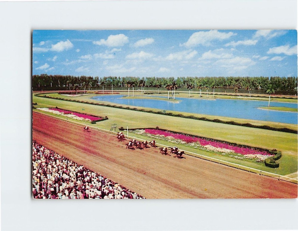 Postcard Horse Nearing Finish Wire at Hialeah Race Course Miami Florida USA