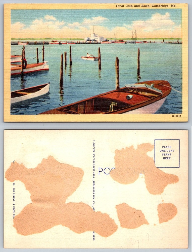 Cambridge MD Yacht Club & Basin Linen Postcard Curteich Art-Colortone Vintage