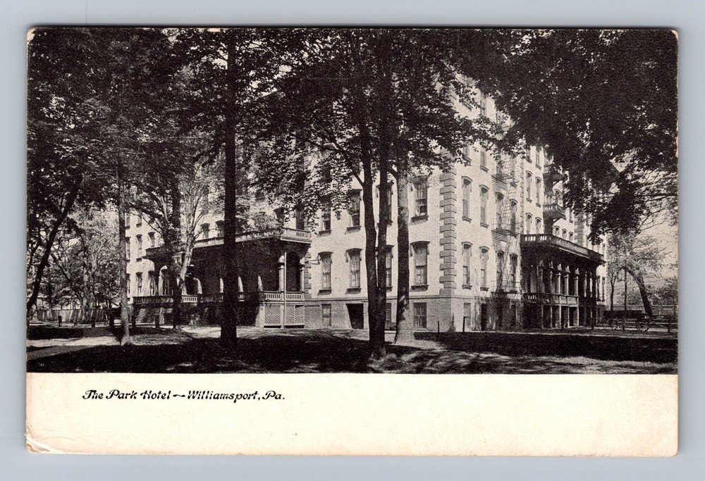 Williamsport PA-Pennsylvania The Park Hotel Vintage Postcard Standard Postal PC