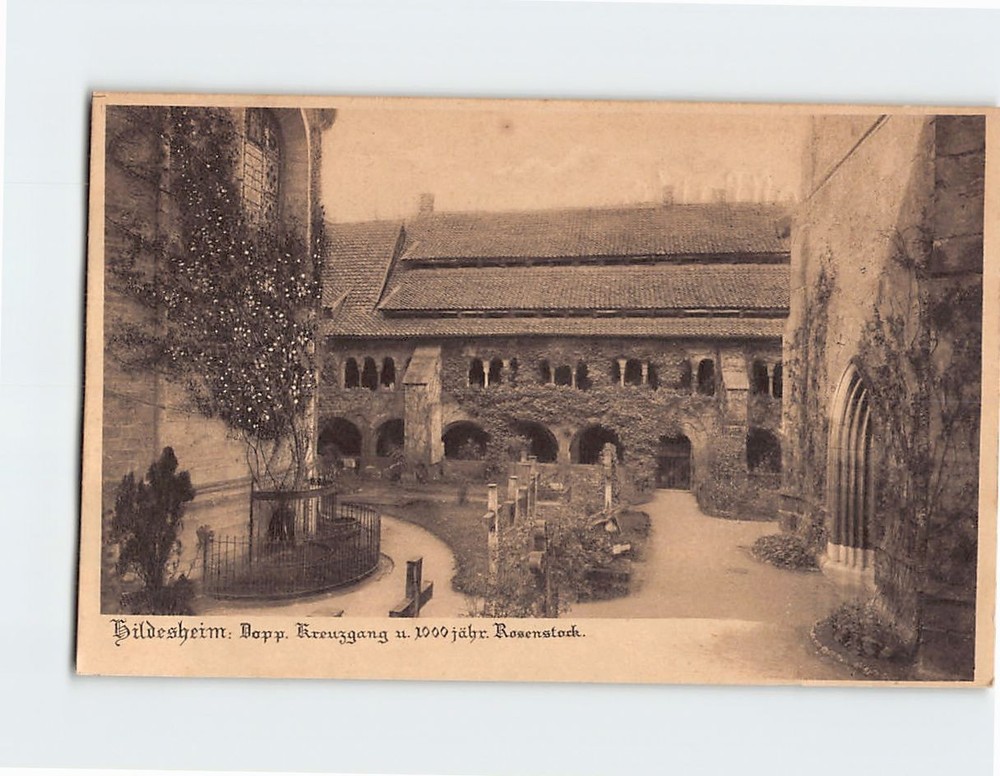 Postcard Dopp. Kreuzgang u. 1000 jahr Rosenstock Hildesheim Germany