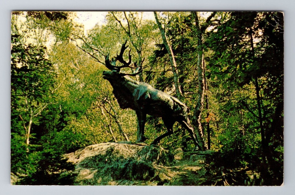 St John's-Newfoundland, Caribou in Bowring Park, Antique Vintage Postcard