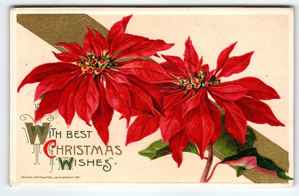 Vintage 1911 Christmas Poinsettia Postcard by John Winsch, Embossed