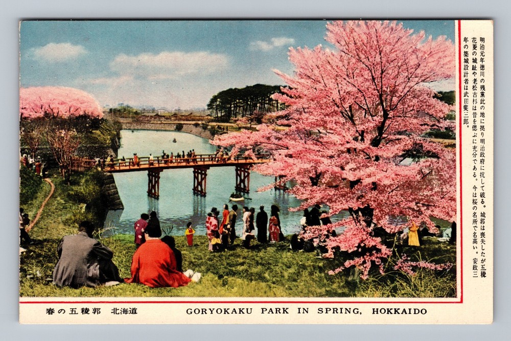 Japan- Hokkaido Goryokaku Park Spring Cherry Blossoms Old PC Vintage Postcard