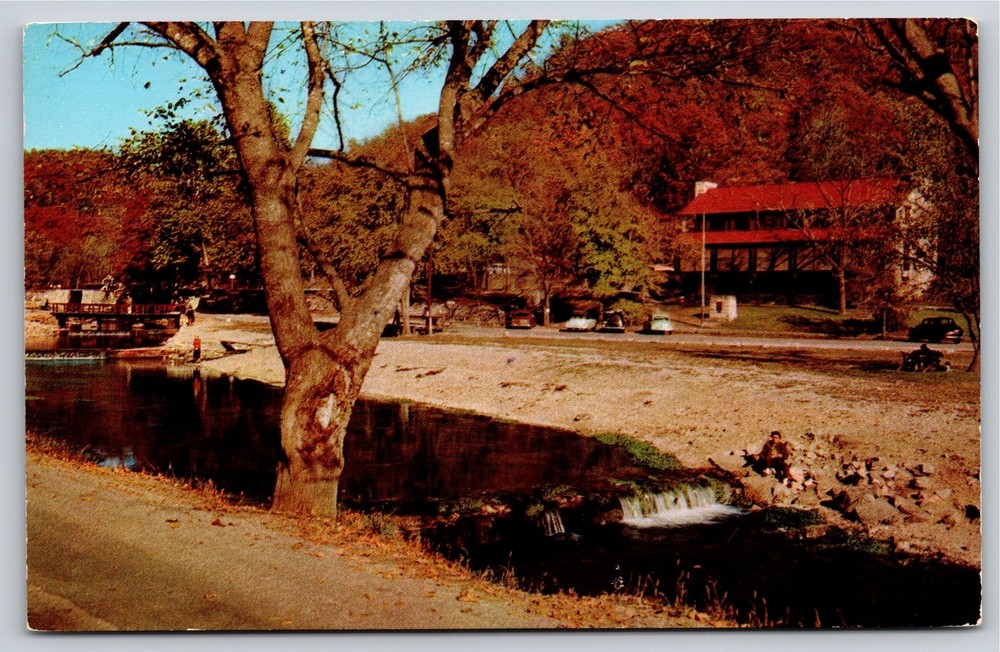 Cassville Missouri~View Of Lodge @ Roaring River State Park~Vintage Postcard