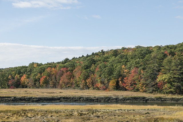 Photo:Newcastle Maine 2017 Marsh Early Fall Autumn Landscape