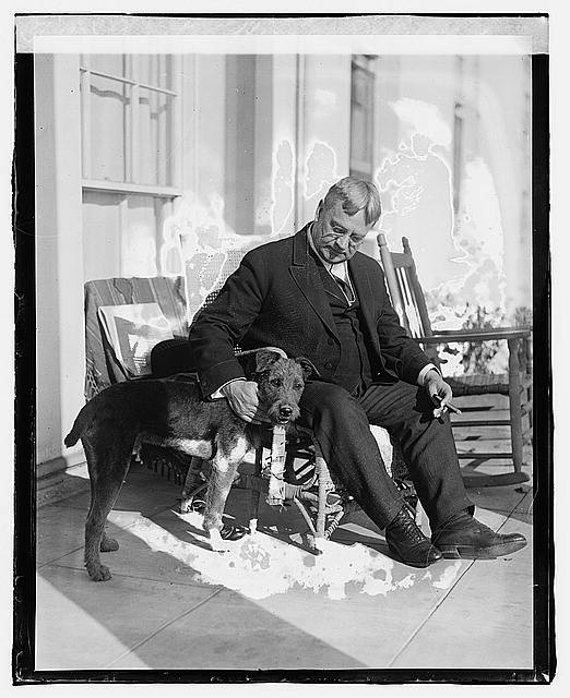 Photo:Senator Hiram Johnson Seated with Dog Portrait 1918-1920