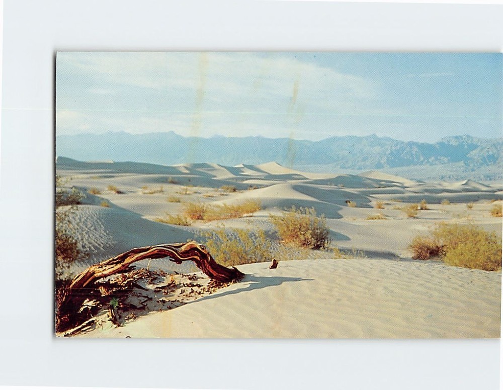 Postcard Desert Sand Dunes