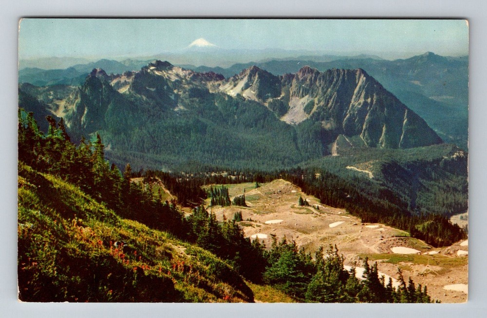 Mount Rainier, WA-Washington, Point Paradise Valley Scenic View Vintage Postcard