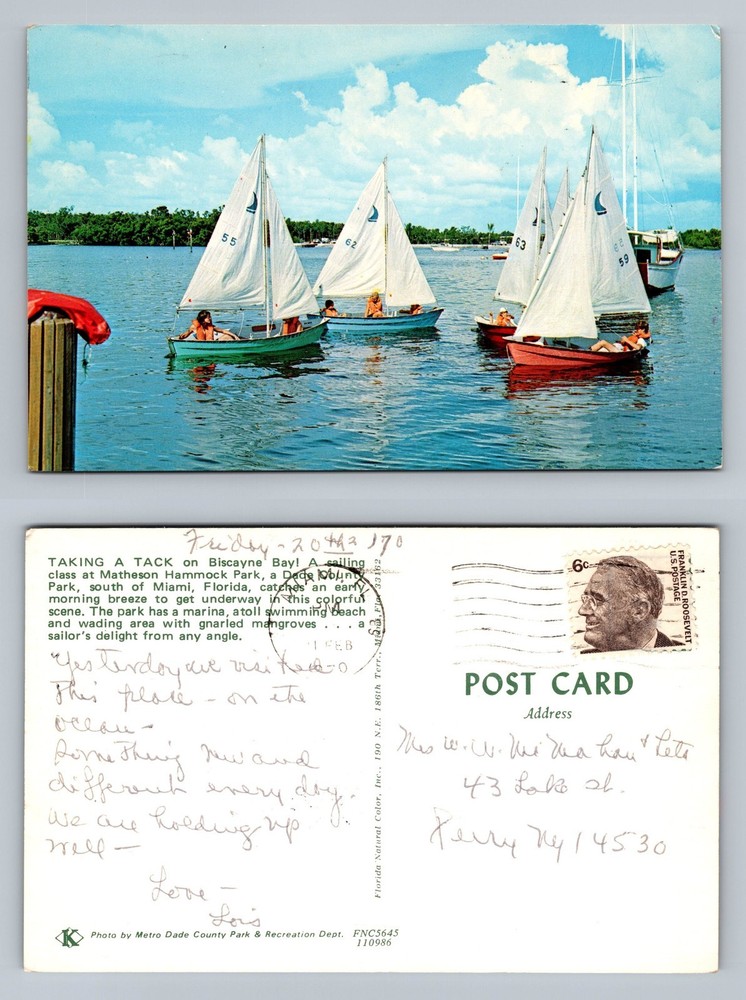 Miami, FL-Florida, Sailboats Matheson Hammock Park PC c1970, Vintage Postcard