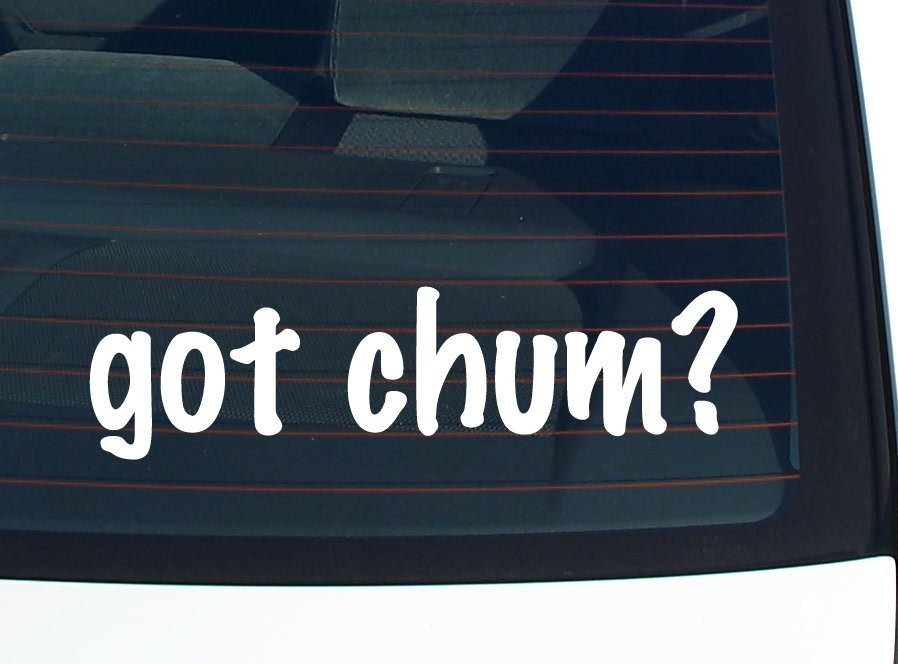 Got Chum Funny Car Bumper Sticker Vinyl Decal for Window