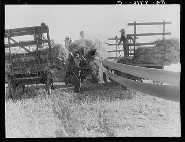 Clayton,Indiana,IN,Hendricks County,Farm Security Administration,1936,FSA,4
