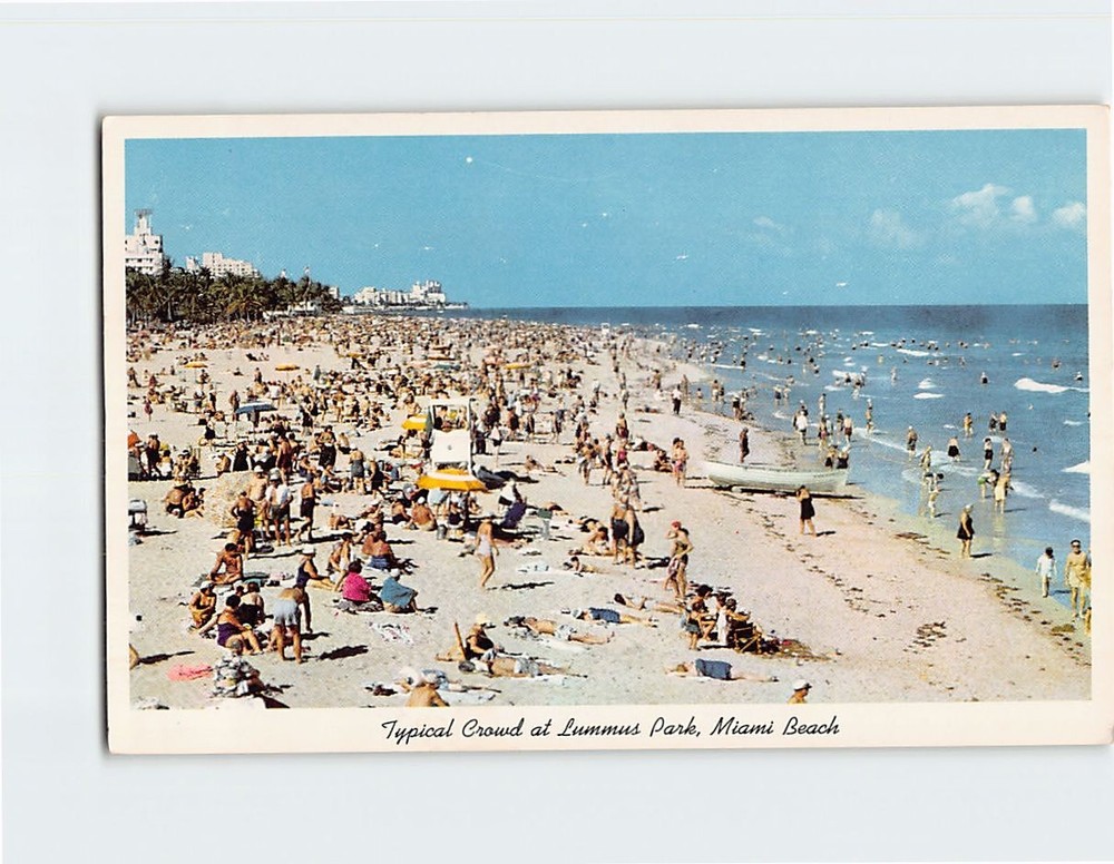 Postcard Typical Crowd at Lummus Park Miami Beach Florida USA