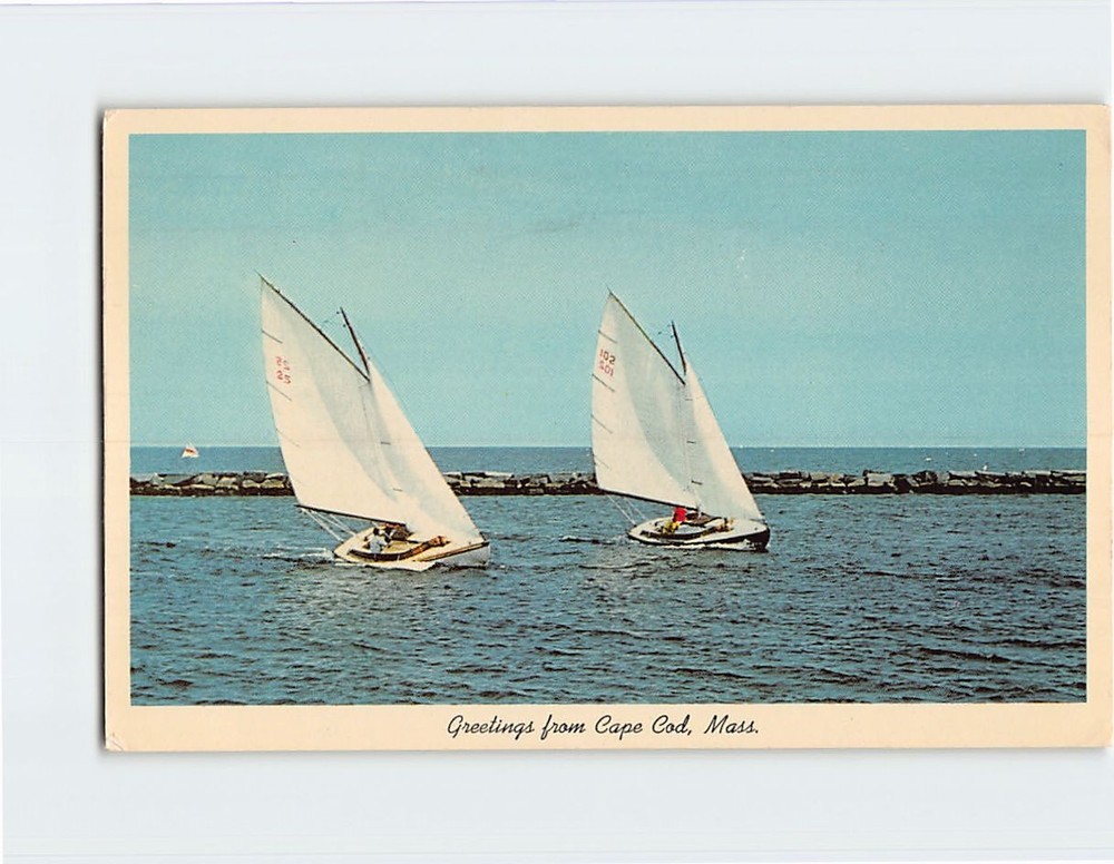 Postcard Sail Boats Greetings from Cape Cod Massachusetts USA