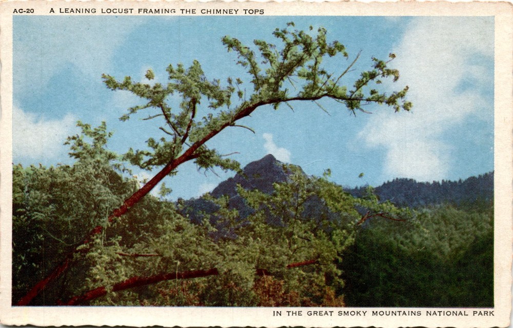 Great Smoky Mountains National Park, Chimney Tops, Newfound Gap Postcard