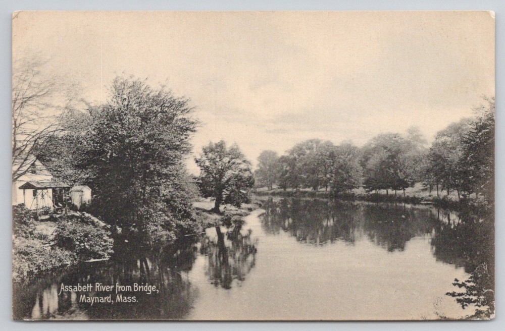 Assabet River Maynard MA Postcard Rotograph c1900s