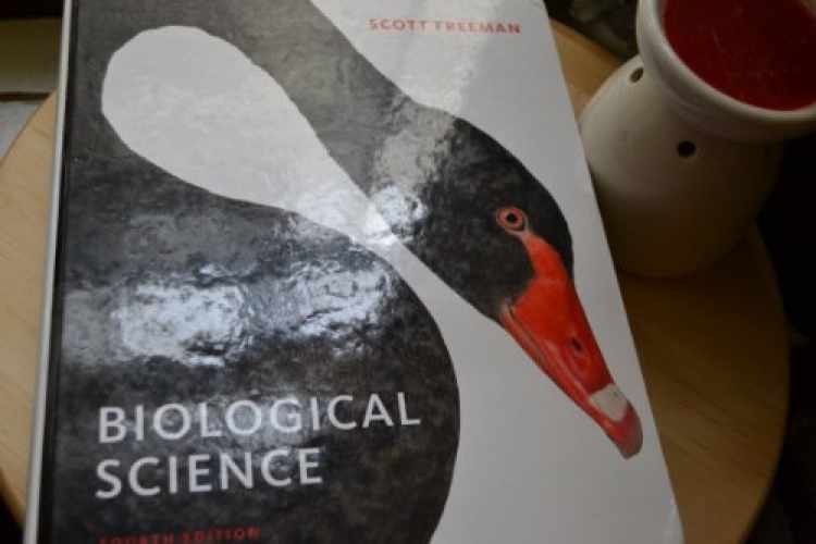 Biological Science (4th Edition) - Hardcover, by Freeman Scott - Acceptable