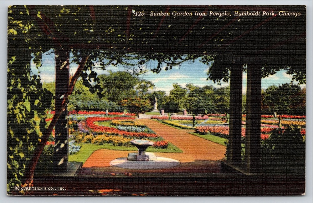 Flowers~Chicago IL~Sunken Garden From Pergola @ Humboldt Park~Vintage Postcard