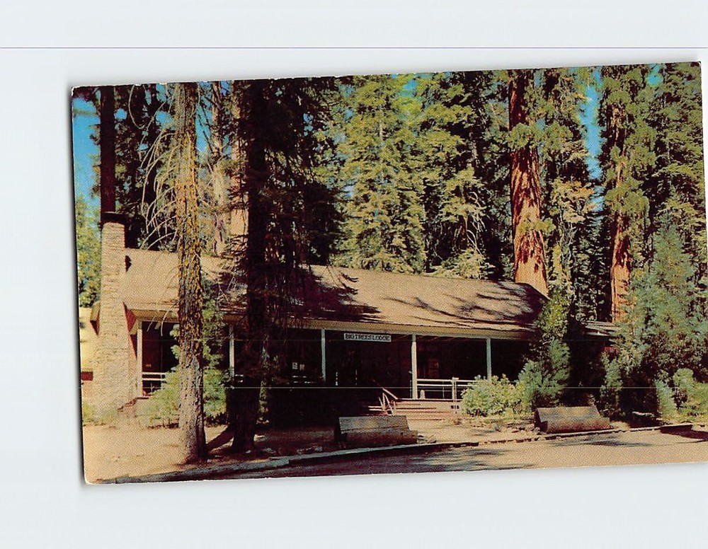 Postcard Big Trees Lodge Mariposa Grove of Big Trees Yosemite National Park CA