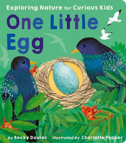 Becky Davies One Little Egg (Board Book) One LittleAnother great item from Rarewaves USA | Free delivery!