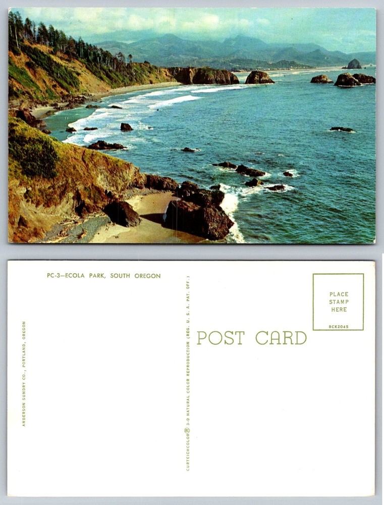 Ecola Park South Oregon Coast Vintage Curteichcolor Postcard Pacific Ocean