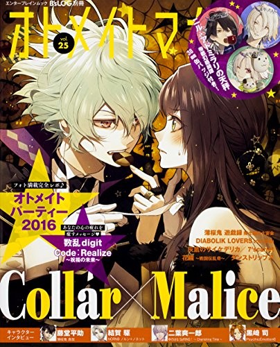 B's-LOG Separate Volume Otomate Magazine vol.25 (Kadokawa Entert... book form JP