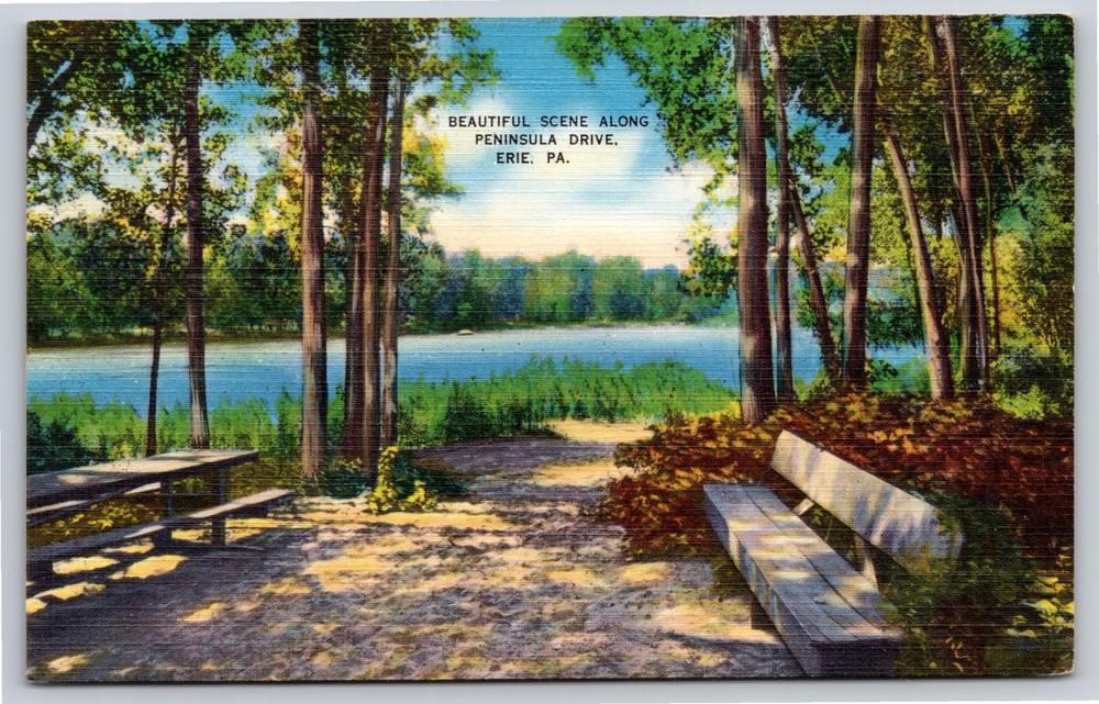 Erie Pennsylvania~Beautiful Scene Along Peninsula Drive~Vintage Linen Postcard