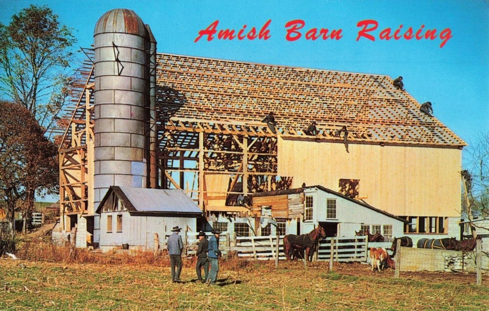 Amish Barn Raising - Pennsylvania PA - Postcard