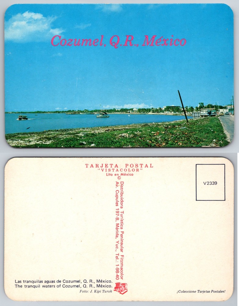 Cozumel Mexico Waterfront View Postcard