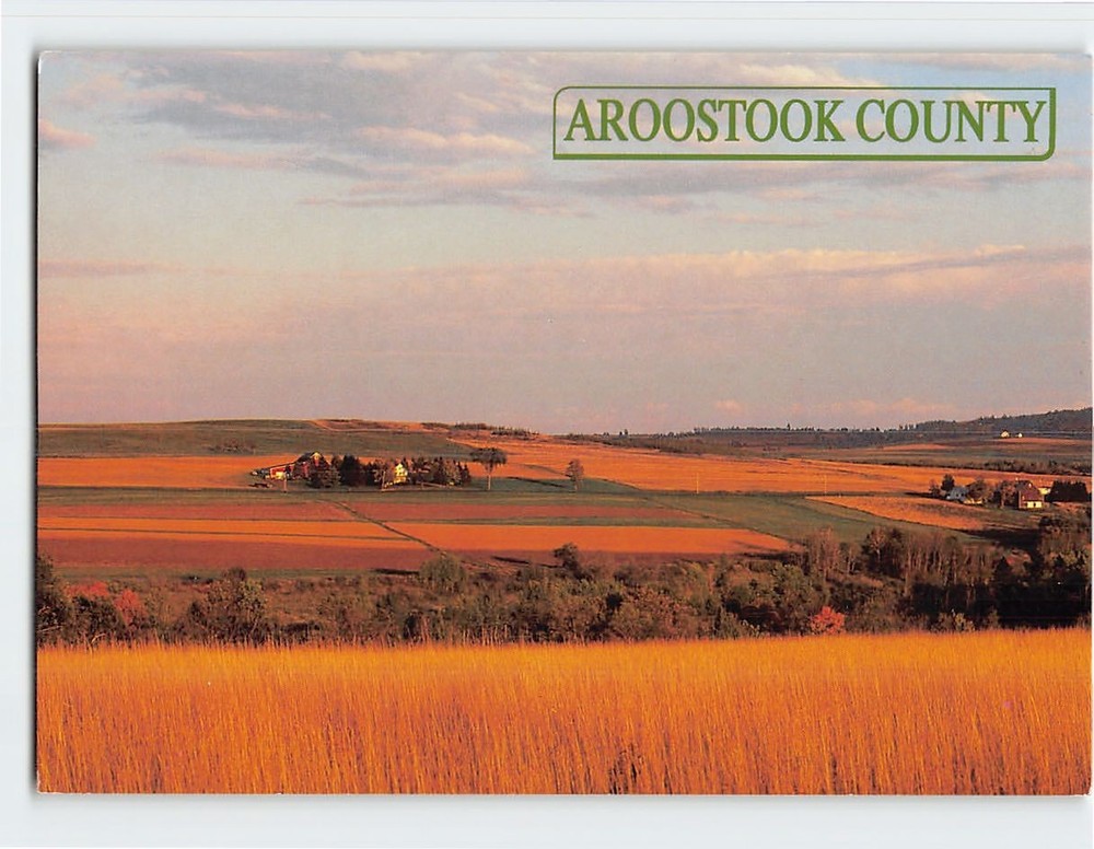 Postcard Farm Fields Aroostook County Presque Isle Maine USA