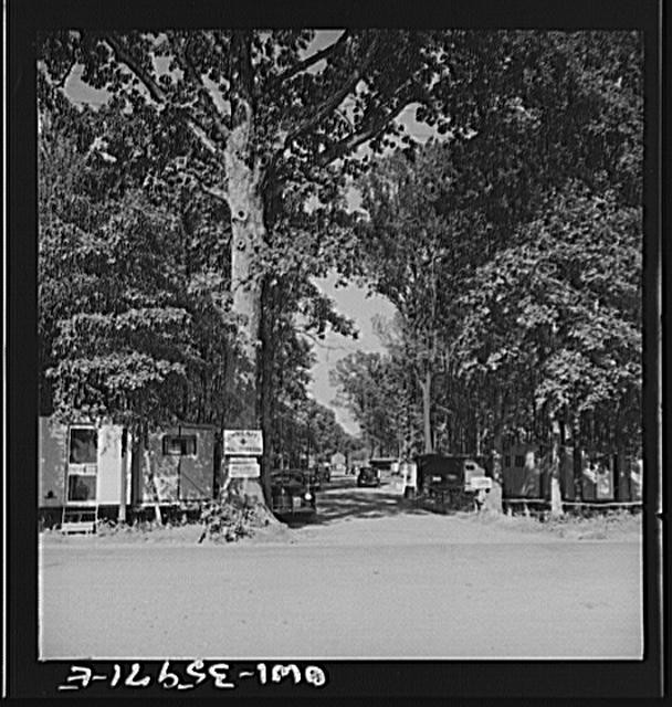 Photo:Middle River Maryland 1930s FSA Housing Project Tree-Lined Road