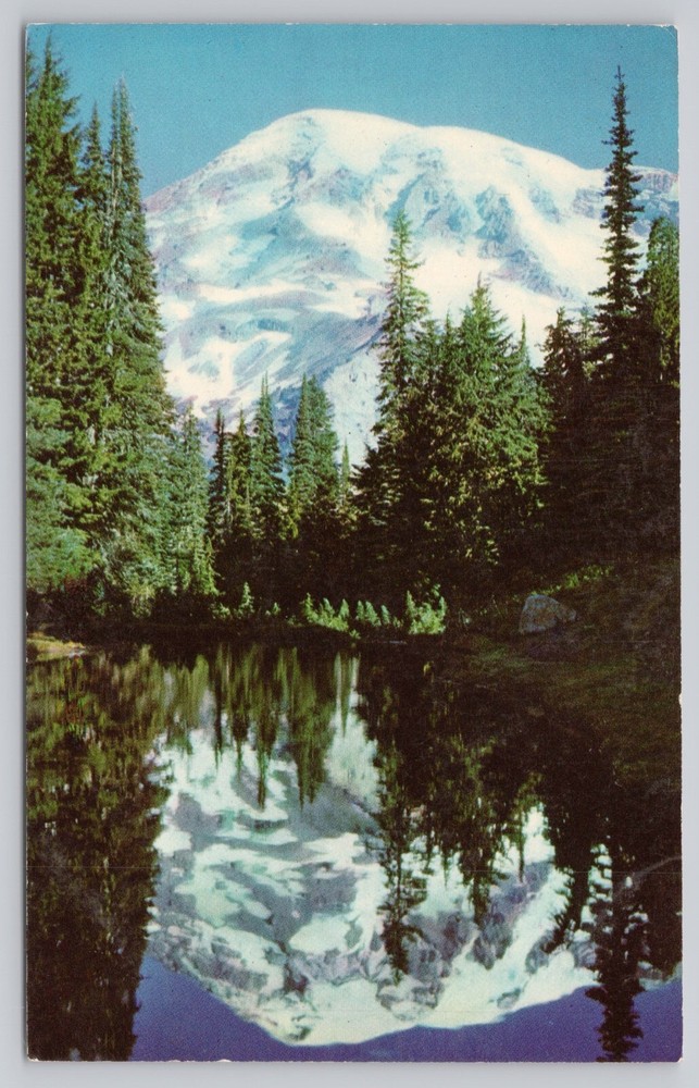 Mount Rainier National Park Washington, Fairy Pool Scenic View, Vintage Postcard