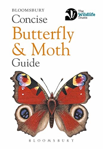 Concise Butterfly & Moth Guide (New Holland Concise ... by New Holland PaperbackFREE US DELIVERY | ISBN: 1847736025 | Quality Books