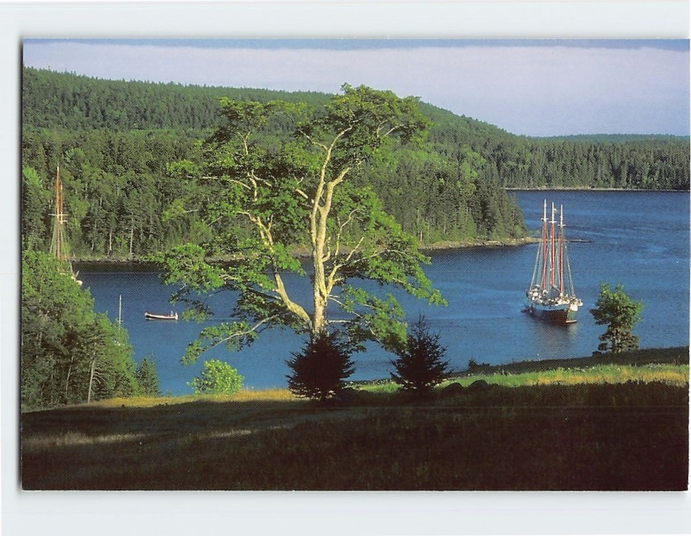 Postcard The Victory Chimes at Buck Harbor