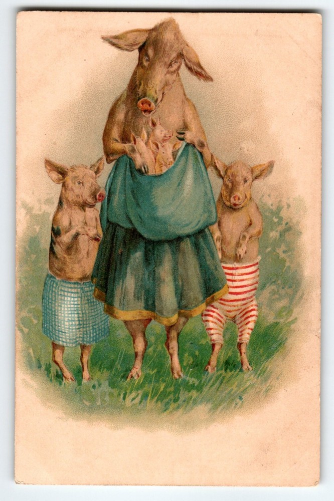 Dressed Pigs Fantasy Anthropomorphic Postcard Piglets In Moms Apron Germany