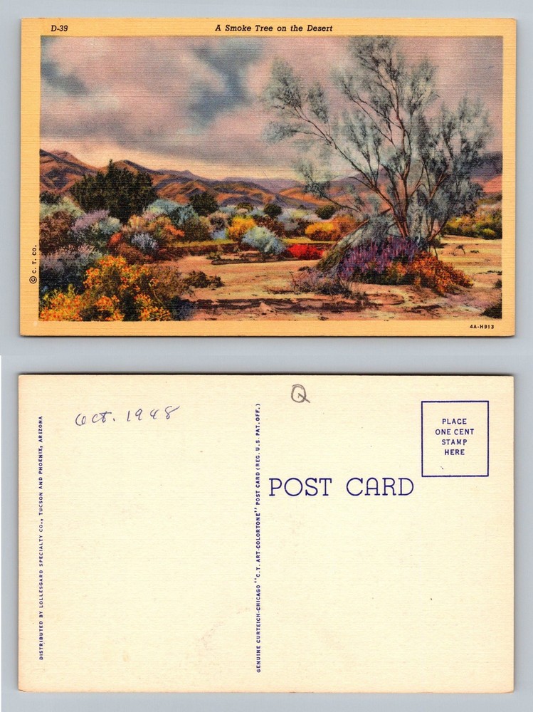 Arizona Desert, AZ-Arizona, Smoke Tree Colorful Mountains Scene Vintage Postcard