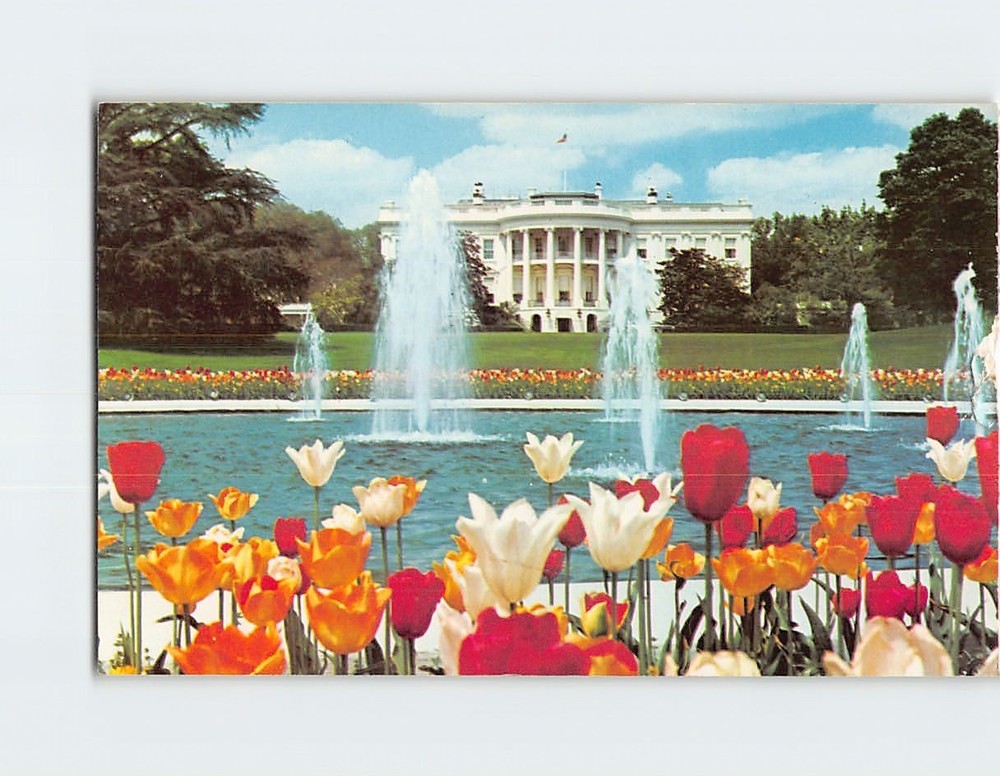 Postcard The White House South Portico the Home of the President Washington DC