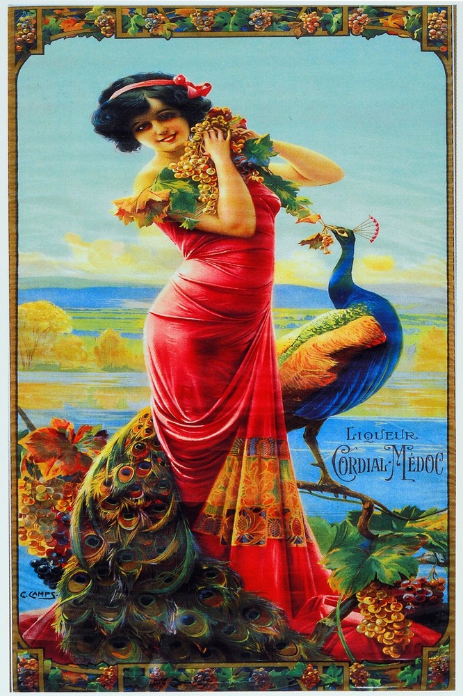 7942.Decoration Poster.Home Room wall fashion art design.Girl with Peacock.Decor