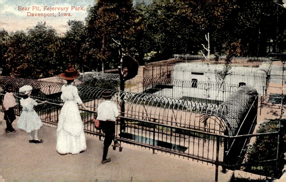 1911 Fejervary Park Davenport Iowa Bear Pit Zoo Antique Hand Colored Postcard