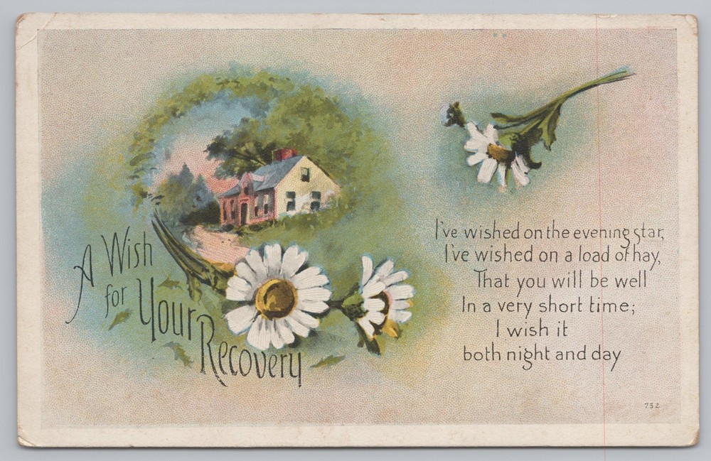 Greetings~Daisies & Home Wish For Recovery~Vintage Postcard