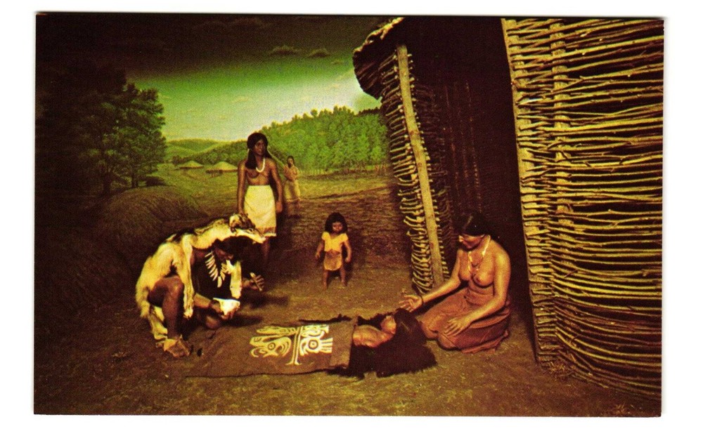 Cincinnati Museum of Natural History Adena Culture Indians VTG postcard UNP