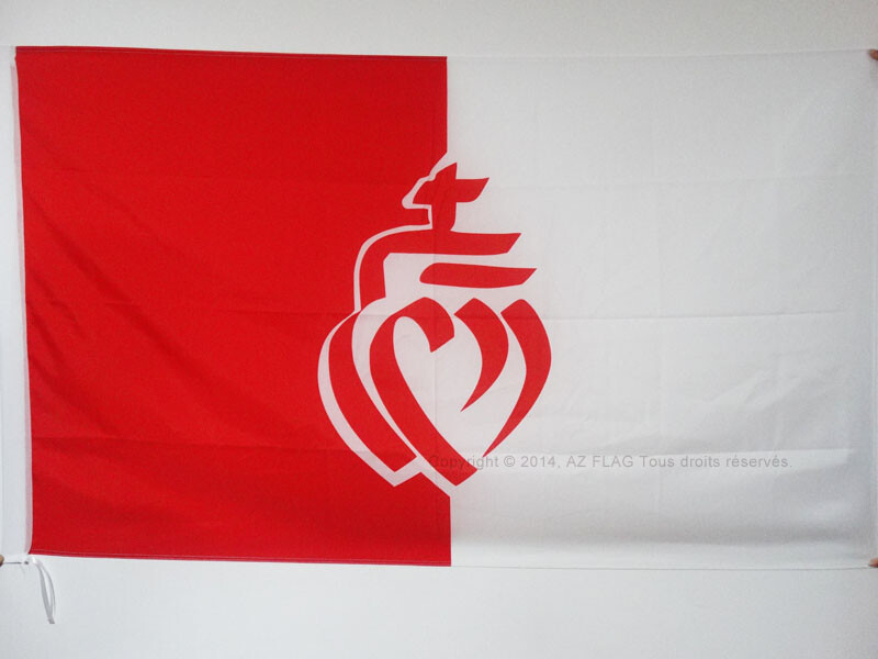 Vendée France Flag 2x3 ft with Pole Sleeve - French Département Banner