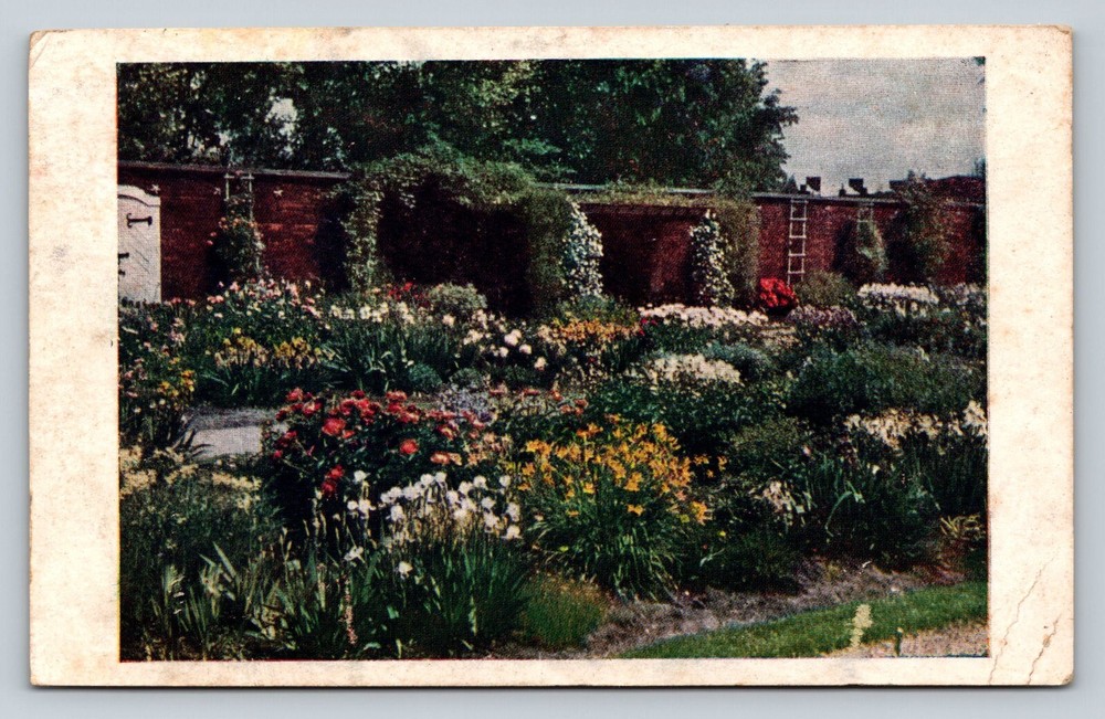 Spring Flowers at MO Botanical Garden Linnean House VINTAGE Postcard