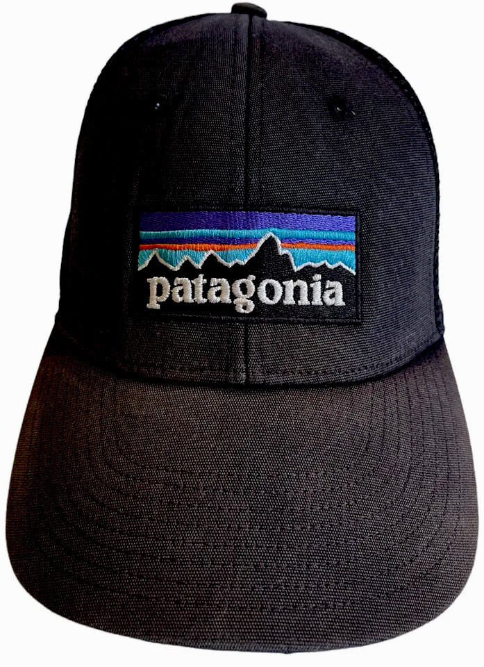 Patagonia Snapback Hat