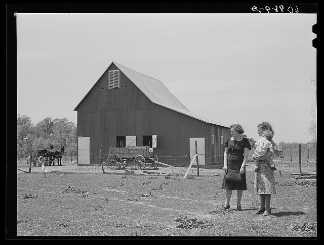 Crawford County Illinois 1940 FSA Tenant Purchase Borrower Wife Home Supervisor