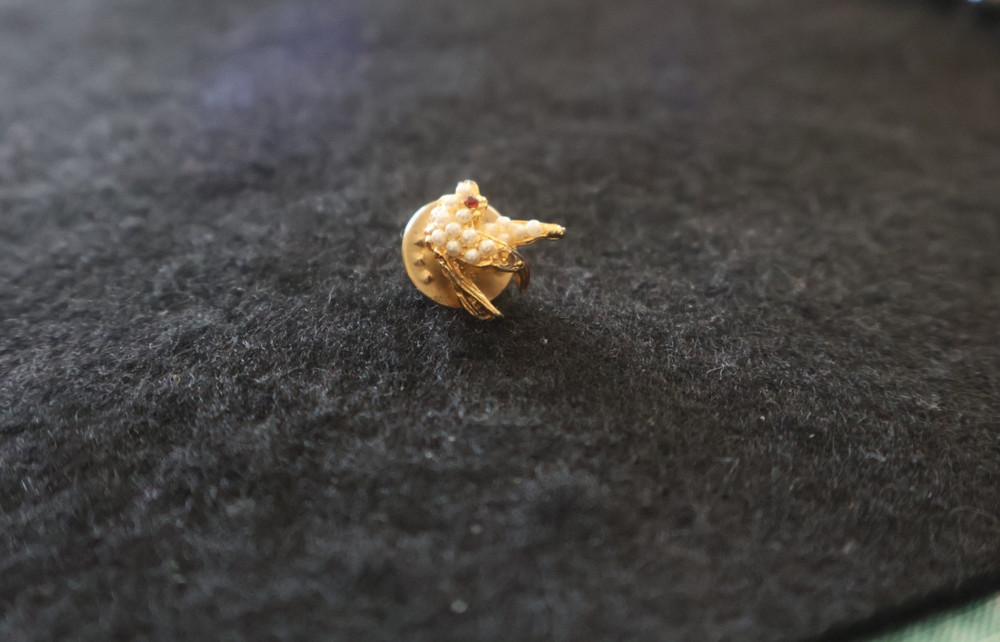 Vintage Jandy Reg Gold Tone Faux Seed Pearl Red Rhinestone Eye Bird Lapel Pin