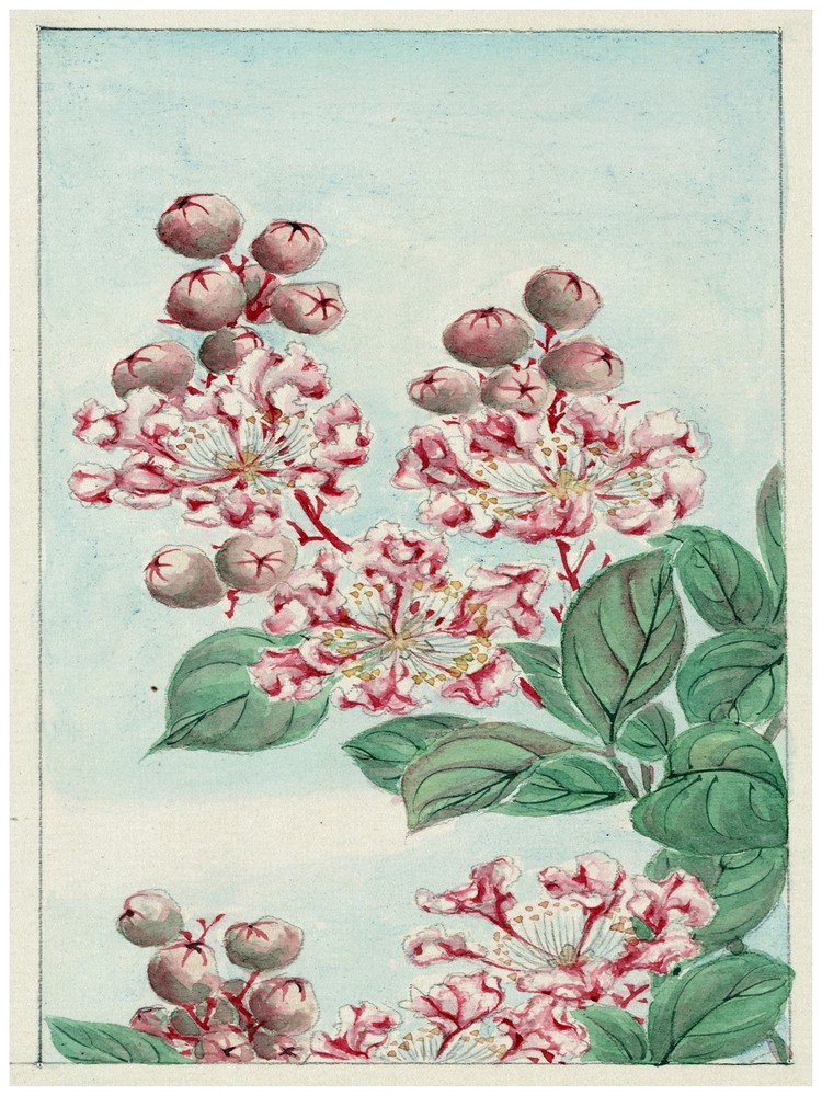 7803.Decoration Poster.Home Room wall interior art design.Japanese flower decor